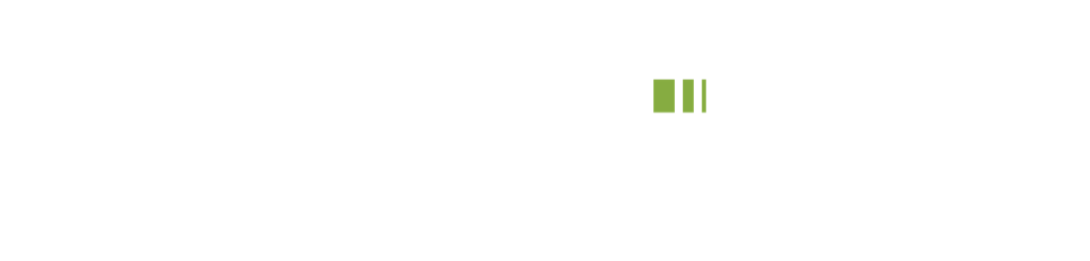 Debtica